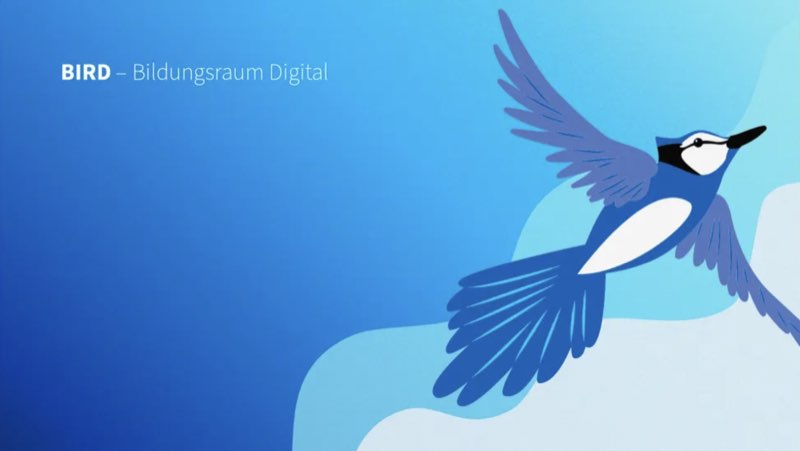 BIRD App